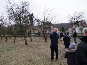 Praktická ukážka vrubľovania Praktická ukážka vrubľovania