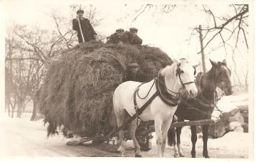 Začiatok družstva vo Svinnej 1958 Začiatok družstva vo Svinnej 1958