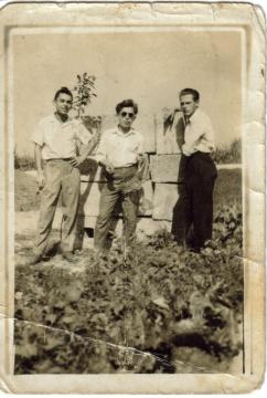 Príprava na výstavbu rodinného domu 1957 Príprava na výstavbu rodinného domu 1957