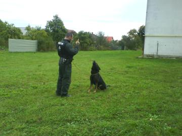 Stretnutie detí s policajtom Stretnutie detí s policajtom