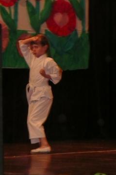 karate karate