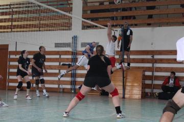 Volejbalová liga Volejbalová liga