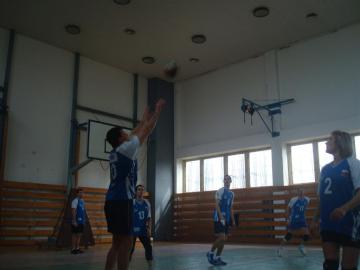 Volejbalová liga Volejbalová liga