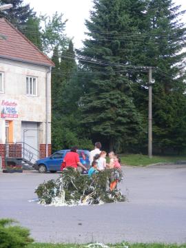 Pílenie mája Pílenie mája