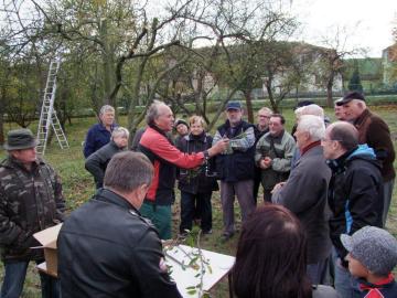 Strihanie stromčekov s prednáškou Strihanie stromčekov s prednáškou