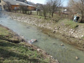 Vynášanie Moreny Vynášanie Moreny